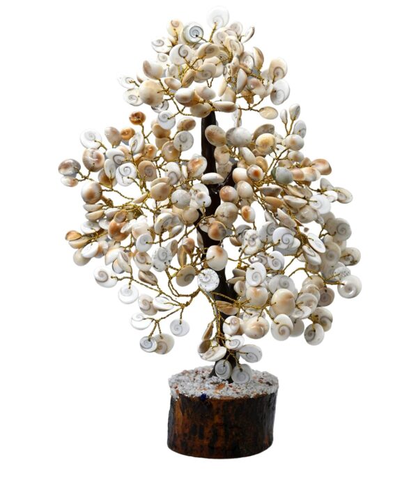Gomti Chakra Tree – Symbol of Wealth, Protection & Divine Energy