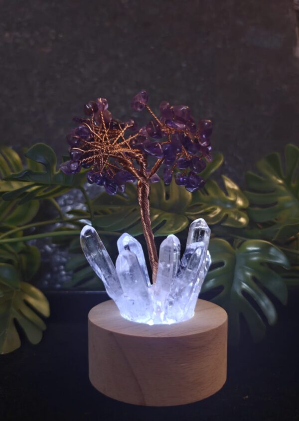 Lamp of Amethyst n Selenite